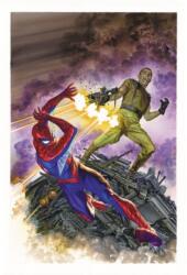 Amazing Spider-man: Worldwide Vol. 6 (ISBN: 9781302902933)