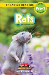 Rats (ISBN: 9781774767696)