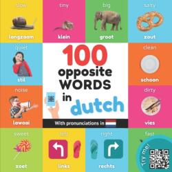 100 opposite words in dutch (ISBN: 9782384122660)