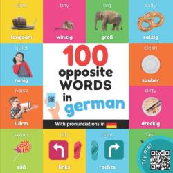 100 opposite words in german (ISBN: 9782384120932)