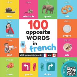 100 opposite words in french (ISBN: 9782384120871)