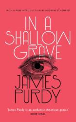 In a Shallow Grave (ISBN: 9781948405249)