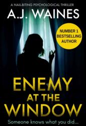 Enemy At The Window (ISBN: 9781912986323)