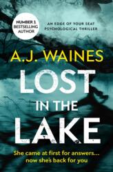 Lost In The Lake (ISBN: 9781912604890)