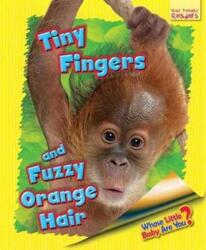 Whose Little Baby are You? (ISBN: 9781911341611)