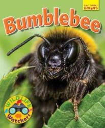 Wildlife Watchers: Bumblebee (ISBN: 9781911341222)