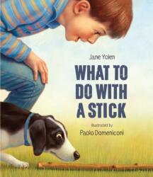 What to do with a Stick (ISBN: 9781682772850)