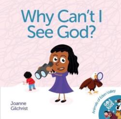 Why Can't I See God? (ISBN: 9781915046291)