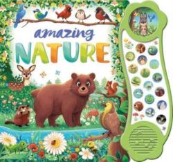 Amazing Nature (ISBN: 9781801085793)