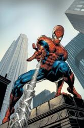 Amazing Spider-man By J. Michael Straczynski Omnibus Vol. 2 (ISBN: 9781302923136)