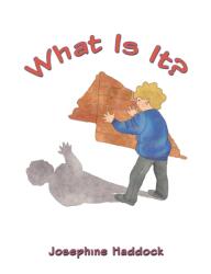 What Is It? (ISBN: 9781398489653)