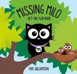 Missing Milo (ISBN: 9781910851715)