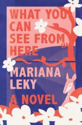 What You Can See from Here (ISBN: 9780374288822)