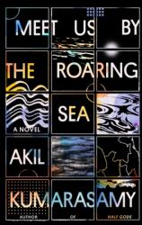 Meet Us by the Roaring Sea (ISBN: 9780374177706)
