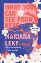 What You Can See from Here (ISBN: 9781250849168)