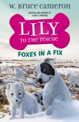 Lily to the Rescue: Foxes in a Fix (ISBN: 9781250762726)