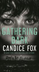 Gathering Dark (ISBN: 9781250317629)