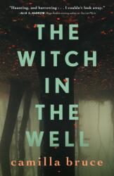 Witch In The Well (ISBN: 9781250302090)