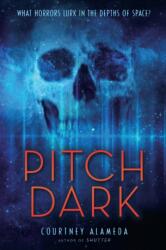 Pitch Dark (ISBN: 9781250294579)