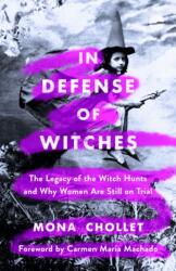 In Defense of Witches (ISBN: 9781250271419)