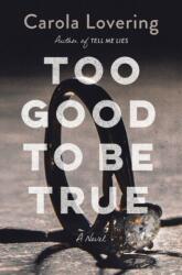 Too Good to Be True (ISBN: 9781250271372)