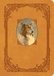 Lassie Come-Home (ISBN: 9781250263148)