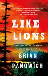 Like Lions (ISBN: 9781250248251)