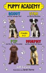 Puppy Academy Bindup Books 1-4: Scout and the Sausage Thief, Star on Stormy Mountain, Pip and the Paw of Friendship, Murphy and the Great Surf Rescue (ISBN: 9781250217615)