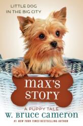 Max's Story (ISBN: 9780765395023)