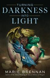 Turning Darkness Into Light (ISBN: 9780765377623)
