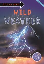 It's all about. . . Wild Weather (ISBN: 9780753476178)