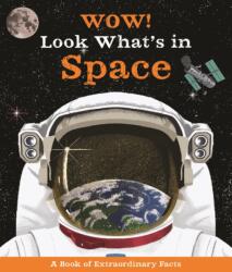 Wow! Look What's in Space! (ISBN: 9780753475492)