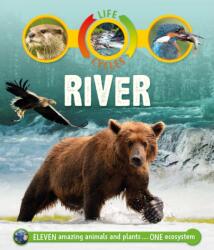 Life Cycles: River (ISBN: 9780753474334)