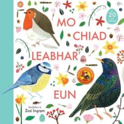 Mo Chiad Leabhar Eun (ISBN: 9781789070675)