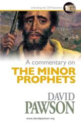 Commentary on The Minor Prophets - David Pawson (ISBN: 9781911173946)