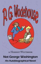 Not George Washington (ISBN: 9781604500738)