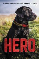 Hero (ISBN: 9780062652218)