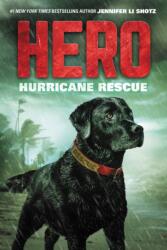Hero: Hurricane Rescue (ISBN: 9780062560445)