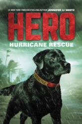 Hero: Hurricane Rescue (ISBN: 9780062791399)