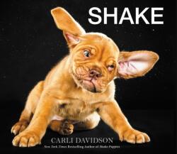 Shake (ISBN: 9780062497642)