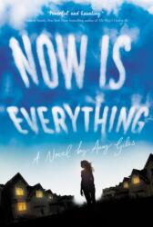 Now Is Everything (ISBN: 9780062495761)