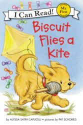 Biscuit Flies a Kite (ISBN: 9780062237019)