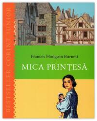 MICA PRINTESA (ISBN: 9789731285320)