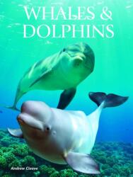 Whales and Dolphins (ISBN: 9781422243114)