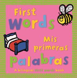 FIRST WORDS (ISBN: 9780753474648)