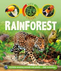 LIFE CYCLES RAINFOREST (ISBN: 9780753473825)