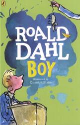 Boy (ISBN: 9780141365534)