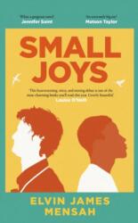 Small Joys (ISBN: 9781472633309)