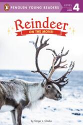 Reindeer (ISBN: 9780593093108)