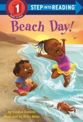 Beach Day! (ISBN: 9781524720445)